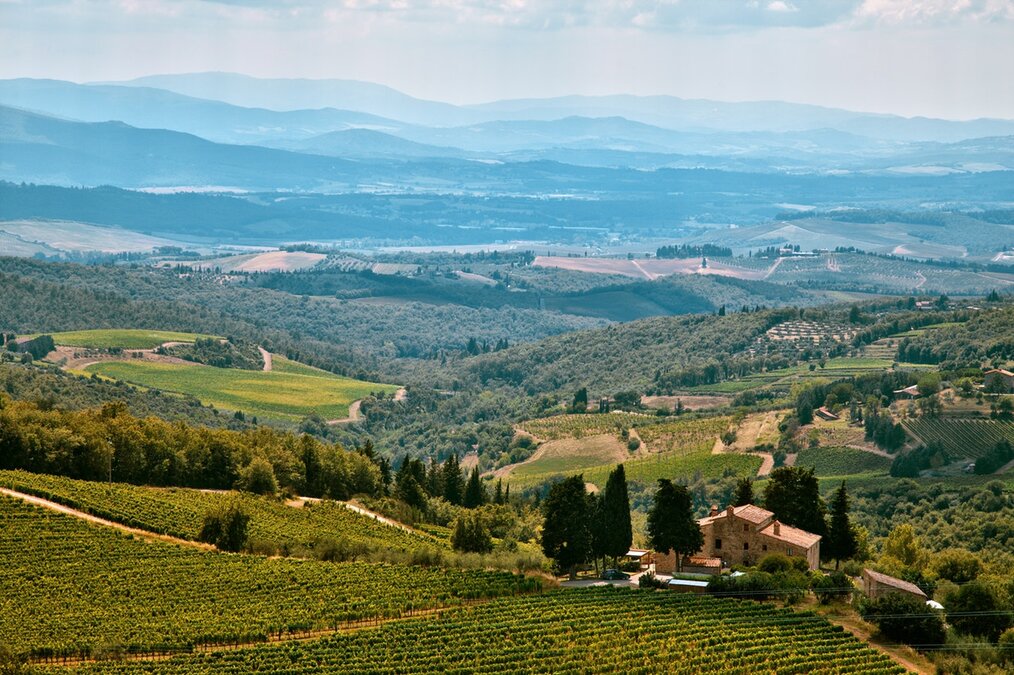 Photo credit: Rowan Heuvel via Unsplash Top 5 Countries to WWOOF on a Vineyard: Italy